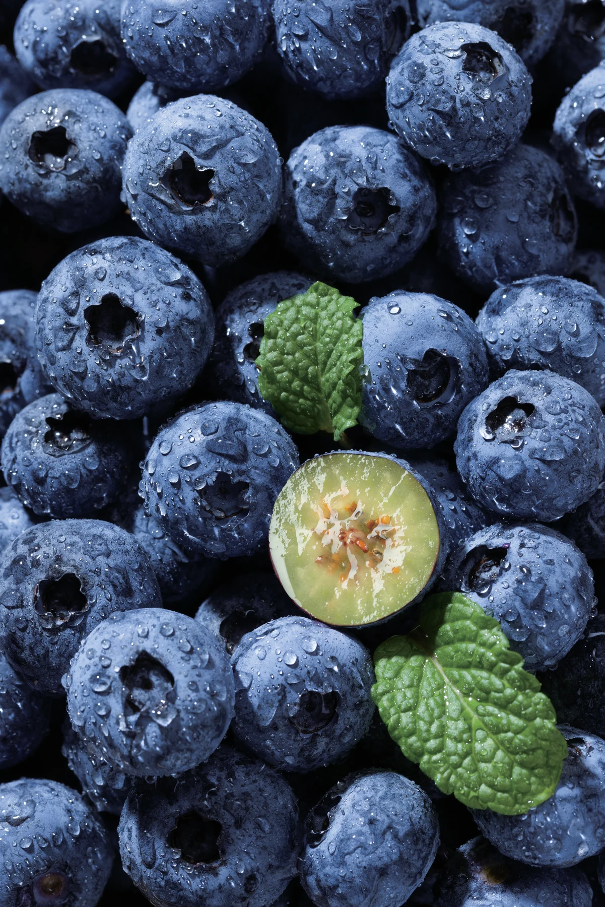 Blueberries from the Cunjindi fruit collection