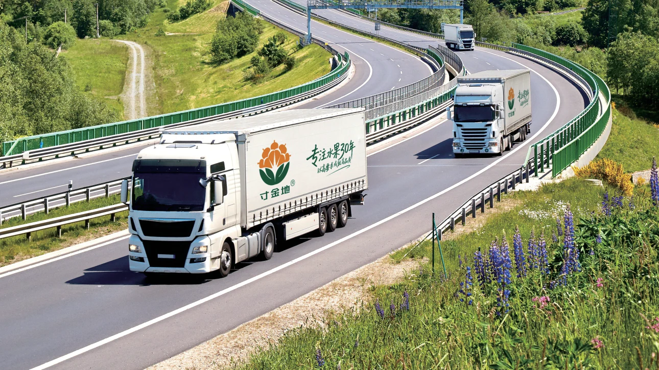Cunjindi branded refrigerated trucks on the road