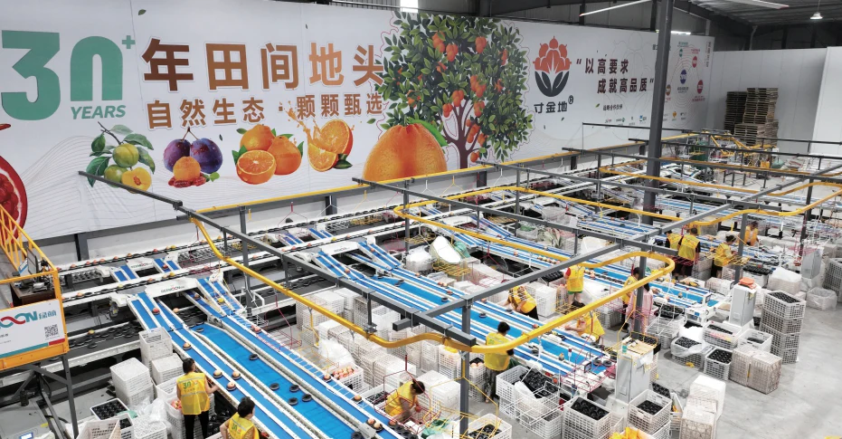 The Cunjindi fruit sorting centre with its branded production line